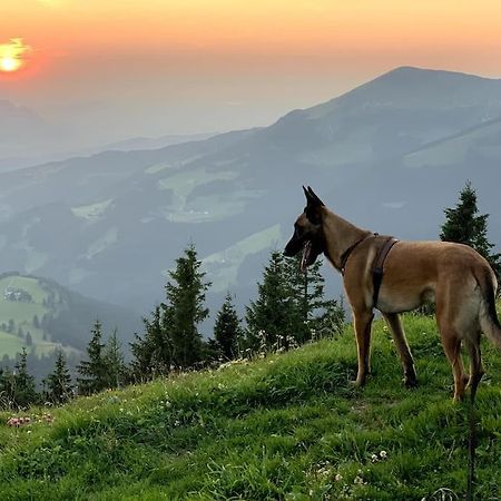 Apartament Urlaub Mit Hund Im Salzburger Land Wegscheid Zewnętrze zdjęcie