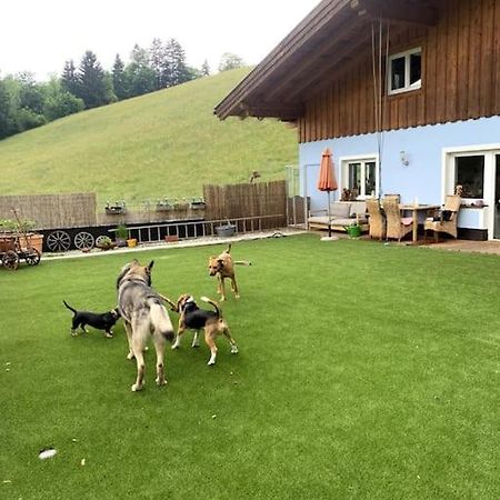 Apartament Urlaub Mit Hund Im Salzburger Land Wegscheid Zewnętrze zdjęcie