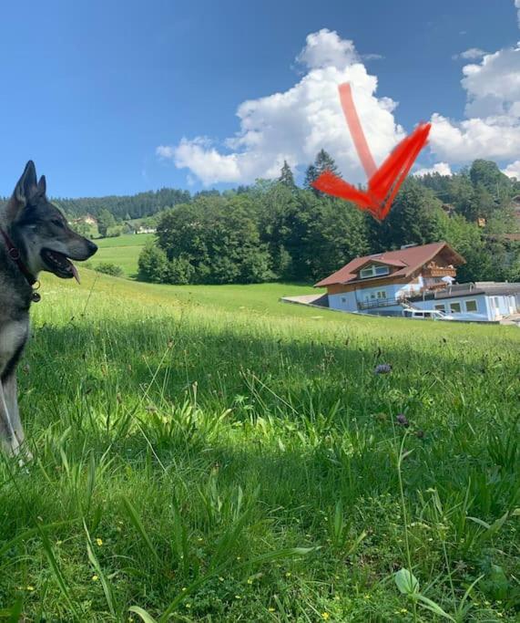 Apartament Urlaub Mit Hund Im Salzburger Land Wegscheid Zewnętrze zdjęcie